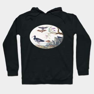 Bats, Quail, and Oystercatcher by the Water (1575–1580) Hoodie